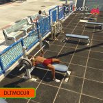 Download bodybuilding mod for gta v game